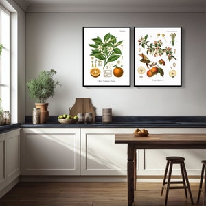 Add Character to Your Home with Restored Vintage Kitchen Decor Illustrations.  Set of 2.  Available in Five Print Sizes.