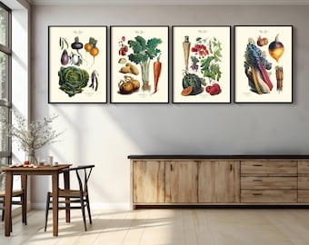 Vegetable Prints - Restored Vintage Kitchen Wall Art, Giclee Fine Art
