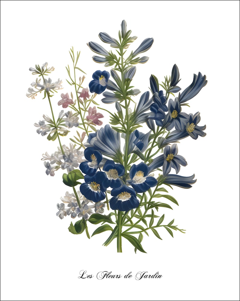 K&ouml;nnte beinhalten: Eine Vintage-botanische Illustration eines Strau&szlig;es aus blauen und wei&szlig;en Blumen mit gr&uuml;nen Stielen und Bl&auml;ttern. Der Text "Les Fleurs de Jardin" ist unter den Blumen gedruckt.