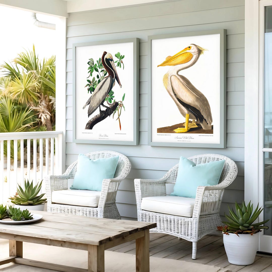 Restored Coastal Bird Prints - Pelican Wall Art Set - Etsy