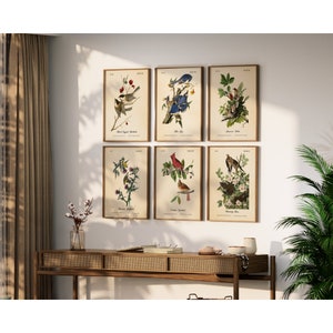 Beautiful Vintage Audubon Bird Prints - Unique Wall Decor for Nature Lovers.  BIRDS OF MICHIGAN.  Set of 6 Bird Wall Art Prints.