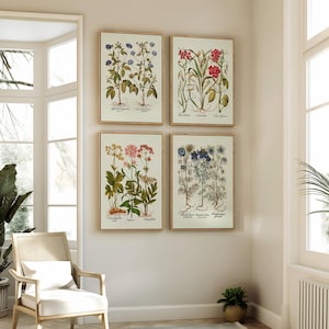Op de afbeelding: Vier ingelijste botanische prenten met gedetailleerde illustraties van verschillende planten, waaronder bloemen en wortels. De prenten zitten in gouden lijsten en hangen aan een neutraal gekleurde muur. Het kunstwerk voegt een vleugje door de natuur ge&iuml;nspireerde decoratie toe.