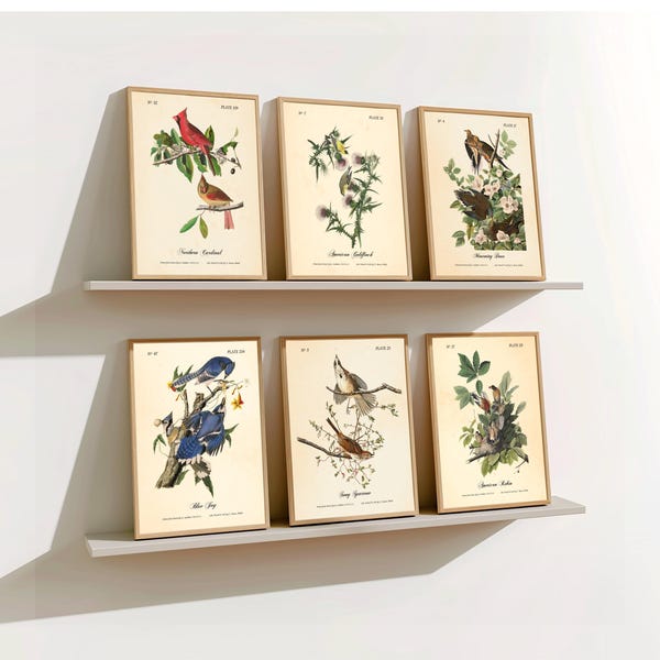 Vintage Audubon Bird Prints - Pennsylvania Backyard Birds Wall Art - Set of 6