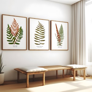 Fern Wall Art. Ferns of North Carolina. Create Your Own Fine Art Botanical Print Set.  Five Print Sizes Available. Sets of 2, 3, 4, 5, or 6.