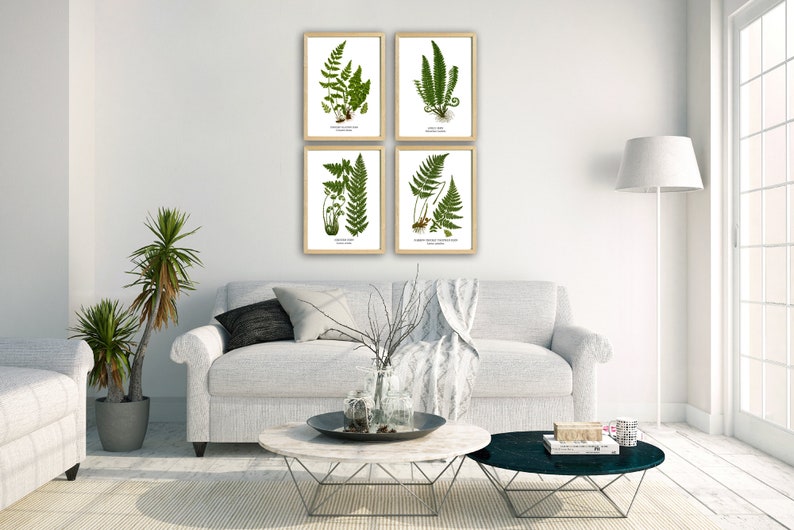 Fern Wall Art. Set of Four, Vintage Restored Botanical Prints. Four Print Sizes Available. Fine Art or Canvas Texture Paper. image 9