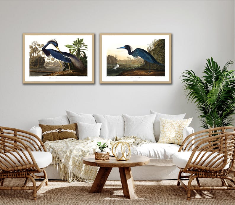 Restored Coastal Bird Print Set - Louisiana Heron & Blue Heron - Etsy