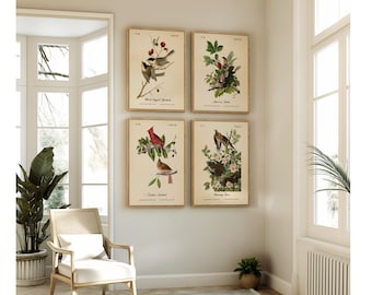 Audubon Prints.  BIRDS OF AMERICA.  Set of 4 Restored Bird Wall Art Prints.  Four Print Sizes Available. Choose From Two Printing Papers.