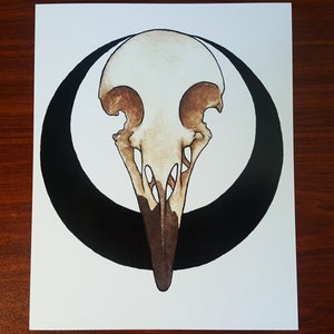 Bird Skull Graphic Print | 8x10
