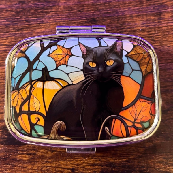 Beautiful Black Cat in Fall Needle Case
