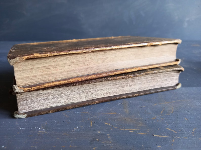 Op de afbeelding: Twee vintage hardcover boeken met bruine lederen omslagen en versleten randen. De boeken liggen op elkaar.