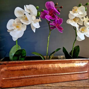 Op de afbeelding: Een rechthoekige koperen plantenbak bevat drie orchideeën. Twee hebben witte bloemen met gele centra, en één heeft levendige paarse bloemen. De plantenbak staat op een houten oppervlak tegen een donkergrijze achtergrond.