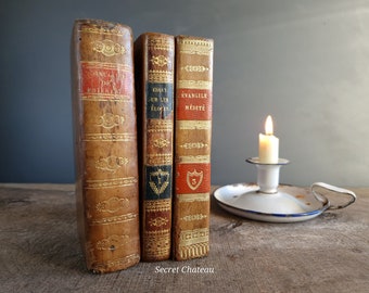 Antique French Leather Books with Gilt Spines - Set of Three