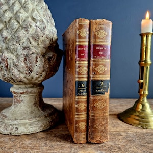 Antique books French antique books Book lover gift Book decor French antiques Antiquarian books Old books decor Library decor Old books
