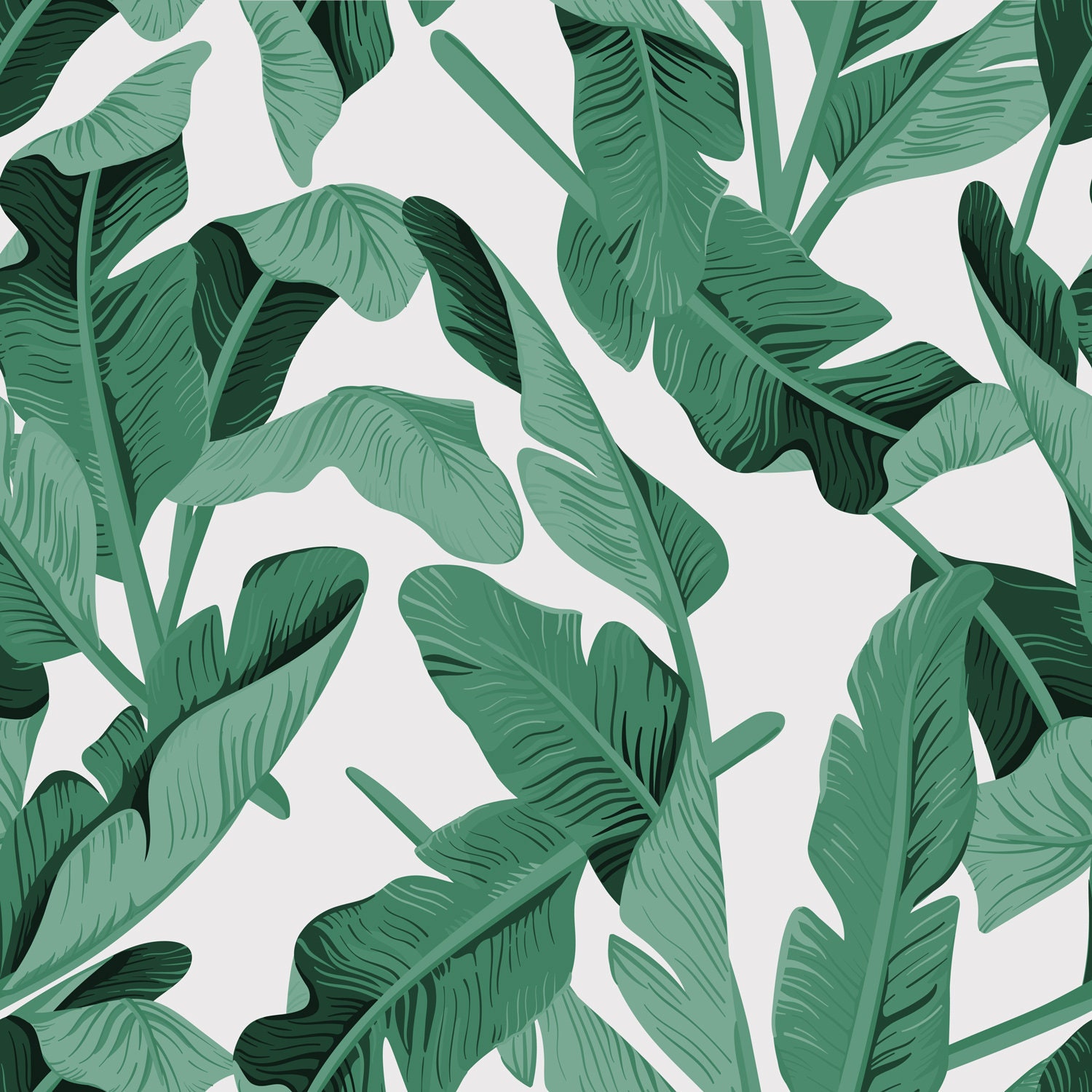 Banana Leaf Wallpaper Rainforest Tropical Green Leaves | Etsy