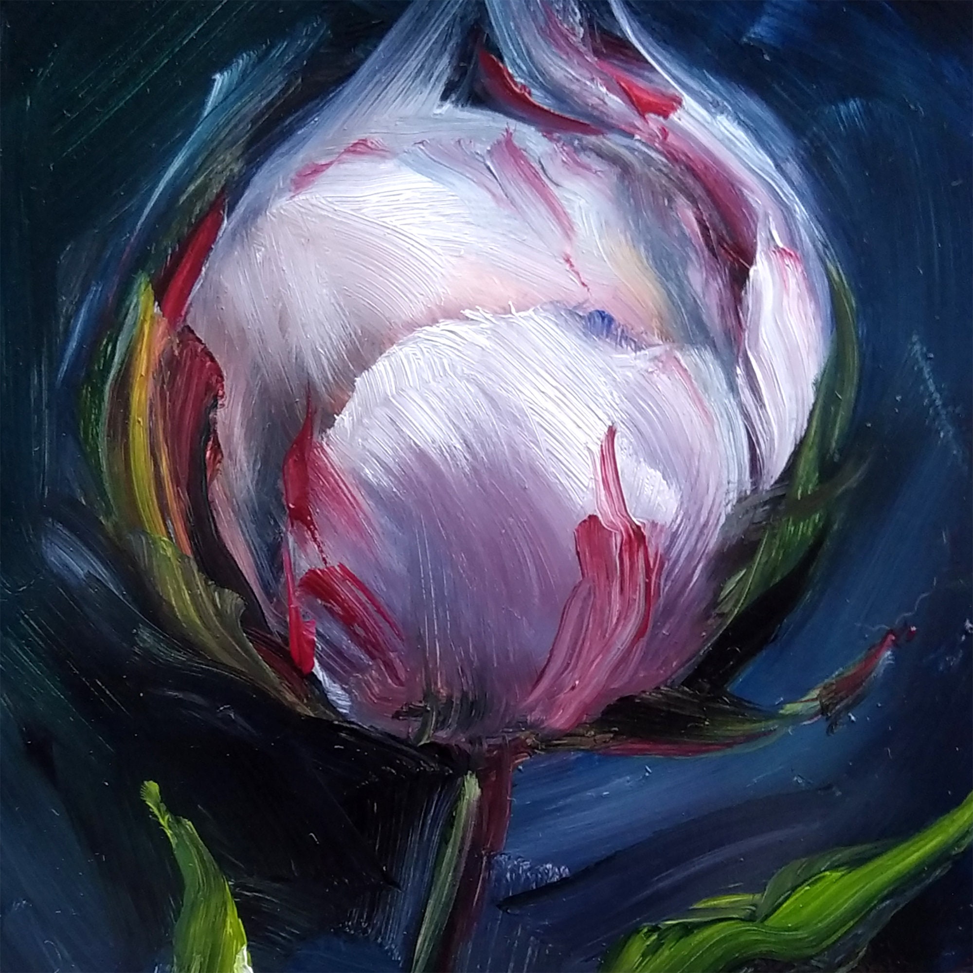 Peony Bud Oil Painting White Peony Flower Original Small Oil Etsy