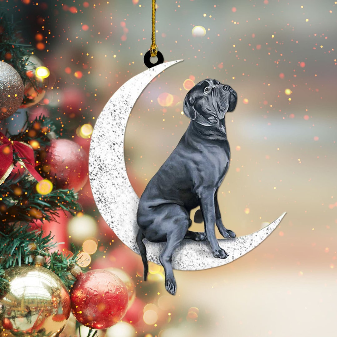 Cane Corso Dog Sit on the Moon Ornament, Cane Corso Ornament for Dog