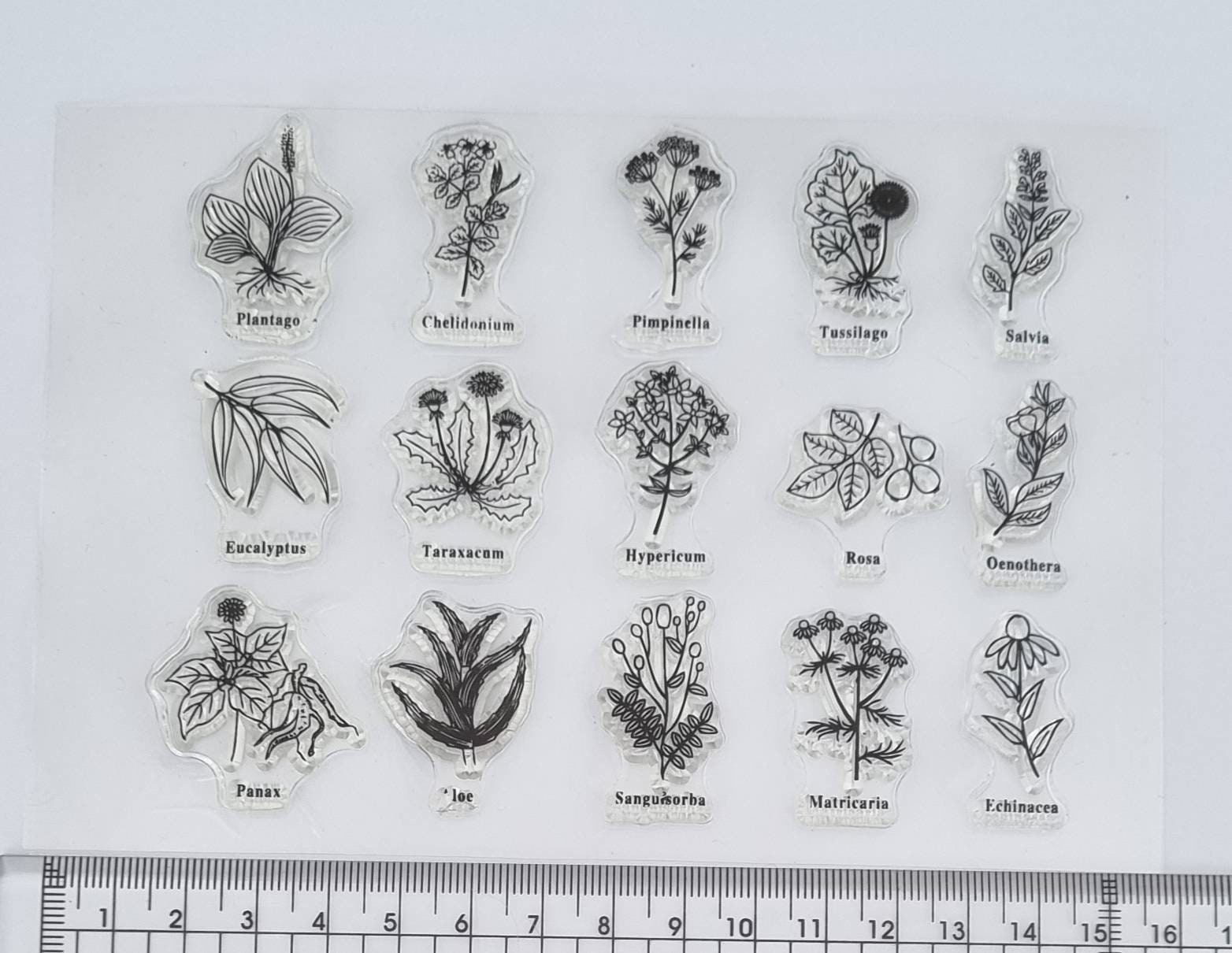 Ready Made Rubber Stamp - Natural Plant Leaves Clear Silicone Stamps