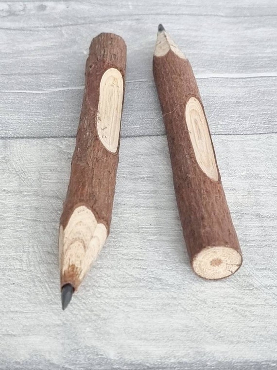 How to Make Twig Pencils – Scout Life magazine