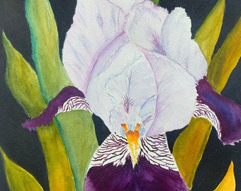 Acquerello originale di iris viola, acquerello originale di iris, acquerello botanico di iris
