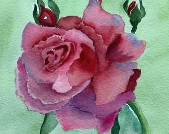 Original Pink Rose Watercolor, Pink Floral Wall Art, Pink Rose Painting, Floral Home Decor