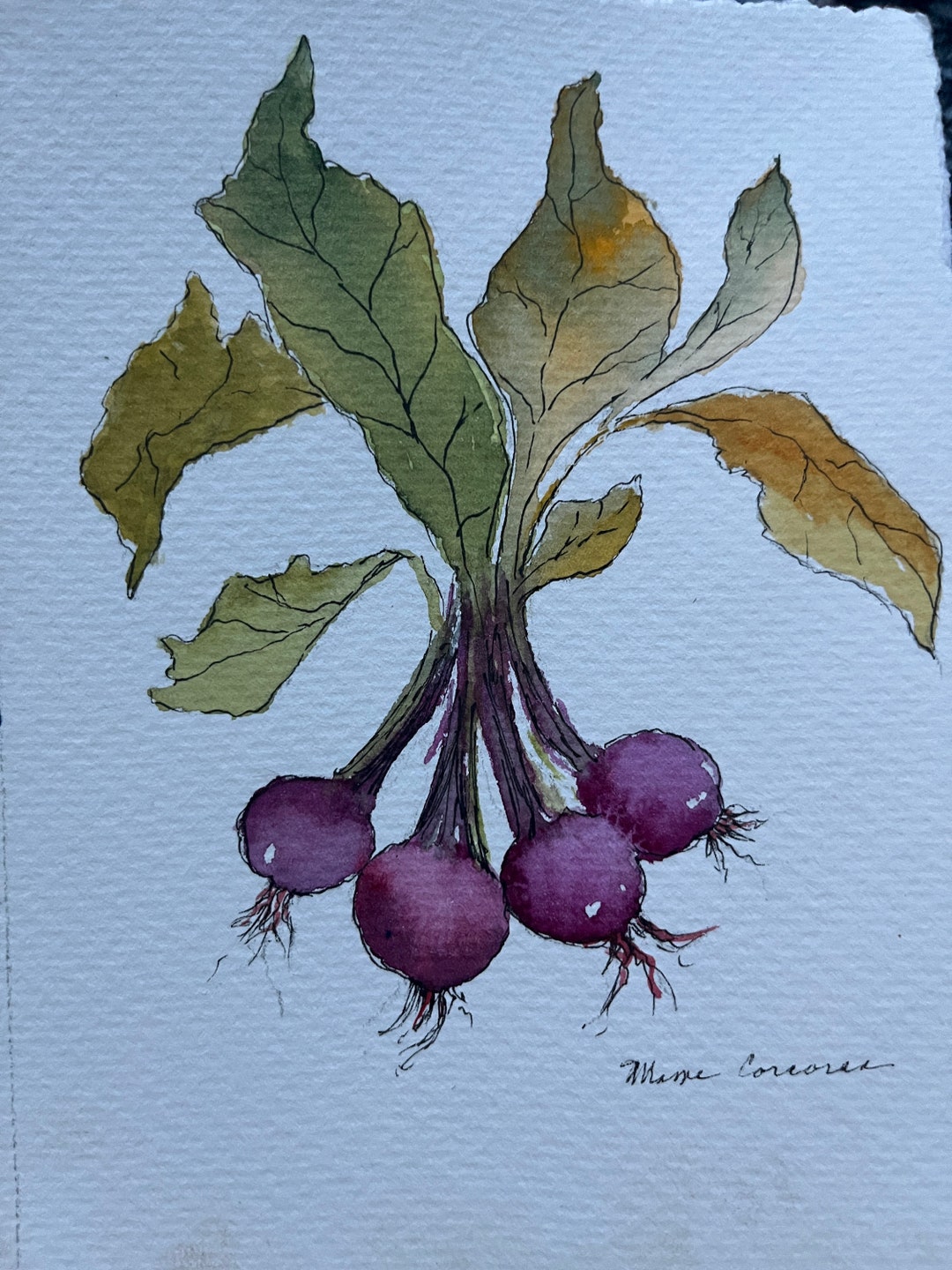Watercolor Wall Art For Kitchens Reference: Radish Watercolor Wall Art Kitchen Watercolor Radishes Painting