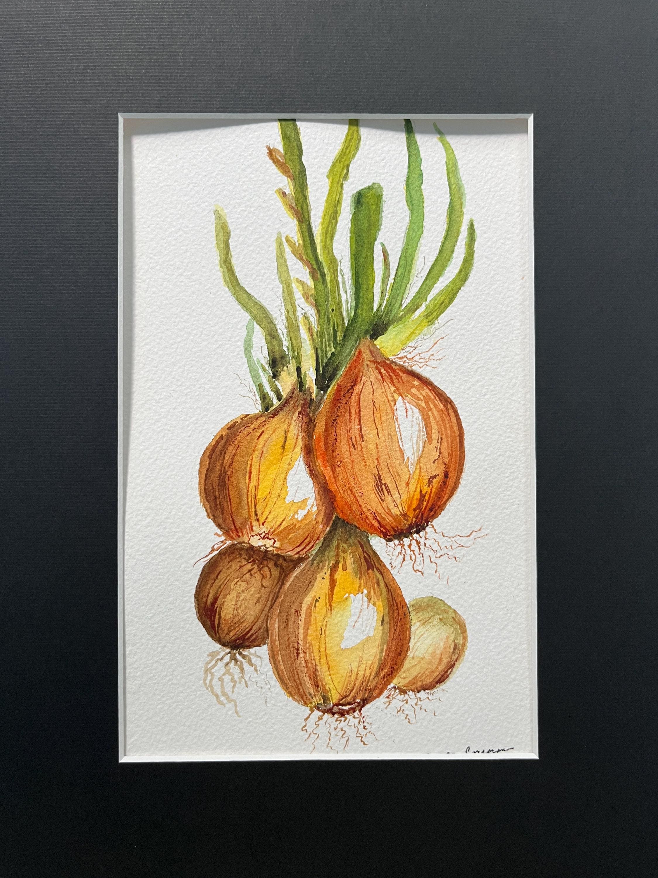水彩画の玉ねぎの静物画、玉ねぎのキッチンの壁画、黒マットの玉ねぎの