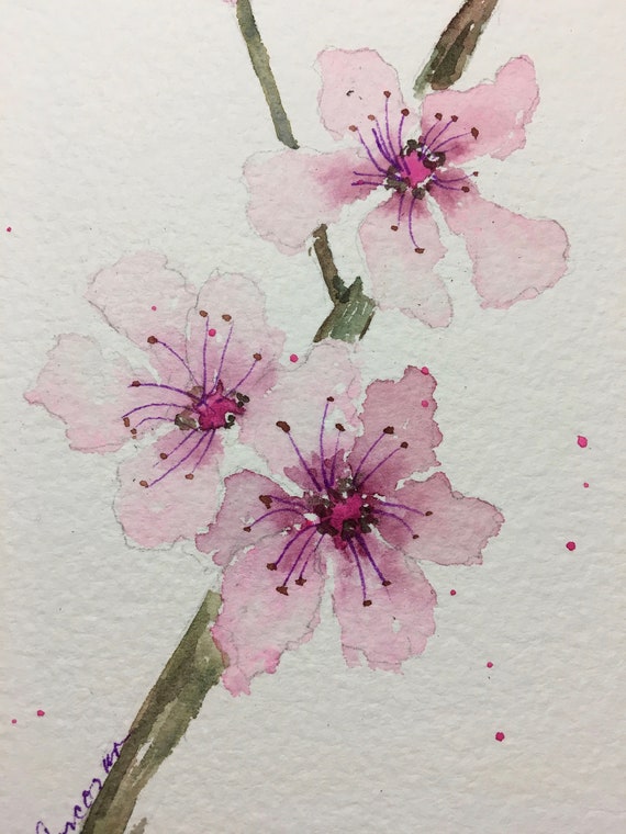 ORIGINAL CHERRY BLOSSOM Watercolor Pink Floral Watercolor Painting of Pink Flowers Etsy Canada