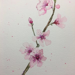 Acuarela ORIGINAL DE FLOR DE CEREZO, Acuarela Floral Rosa, Pintura de Flores Rosadas