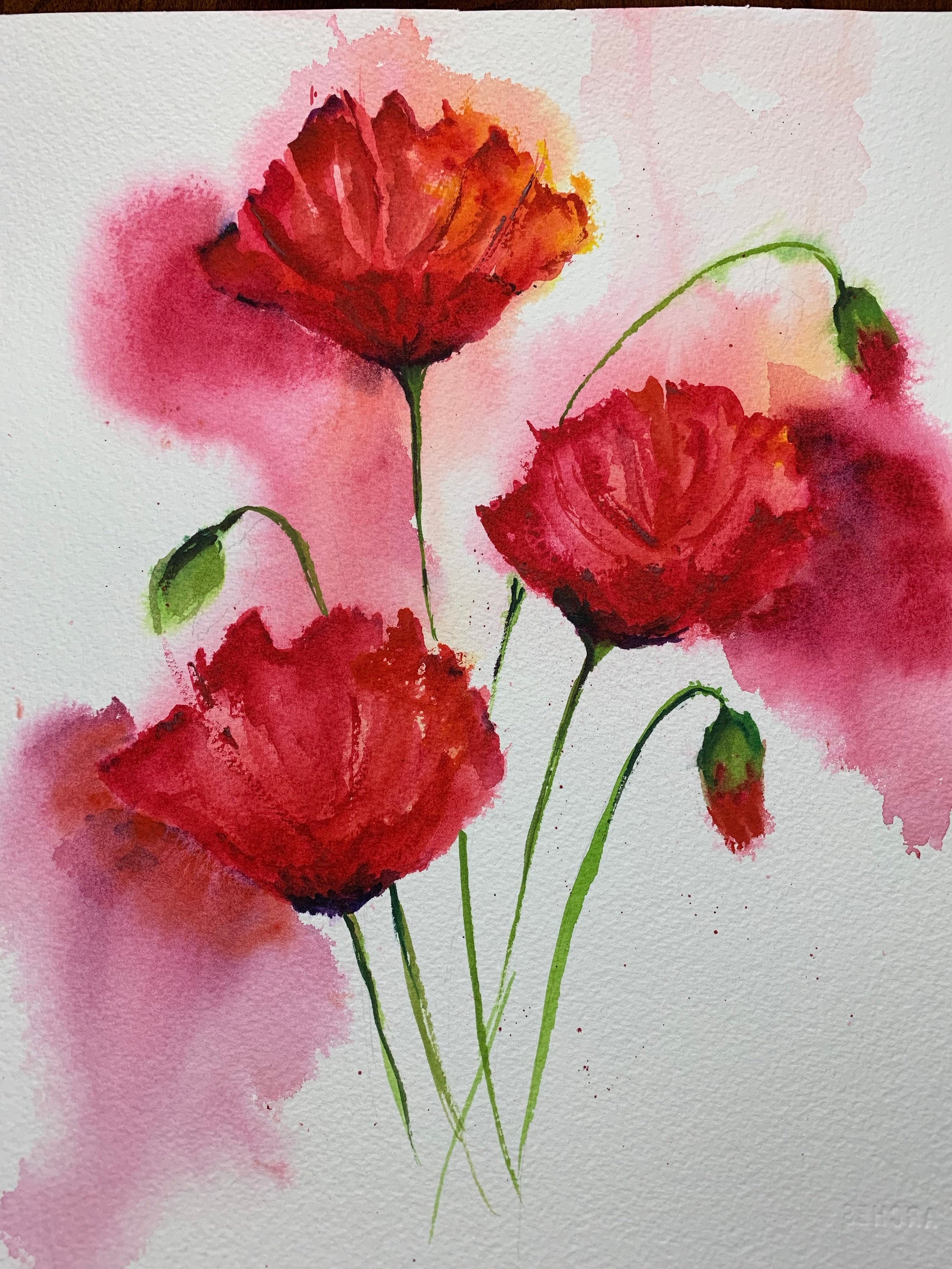 オリジナルの赤いポピーの水彩画、ポピーの花の水彩画、ポピーの花の