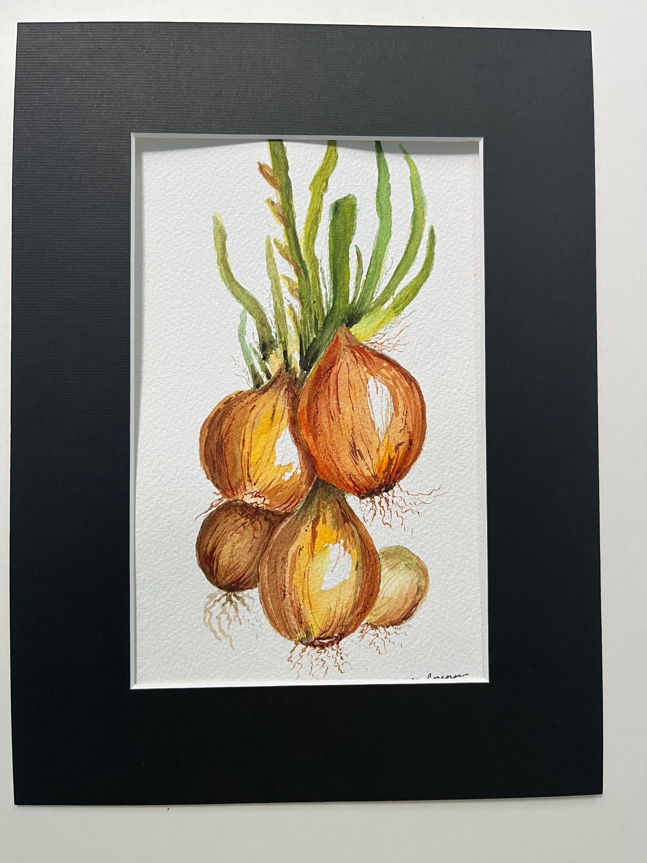 水彩画の玉ねぎの静物画、玉ねぎのキッチンの壁画、黒マットの玉ねぎの