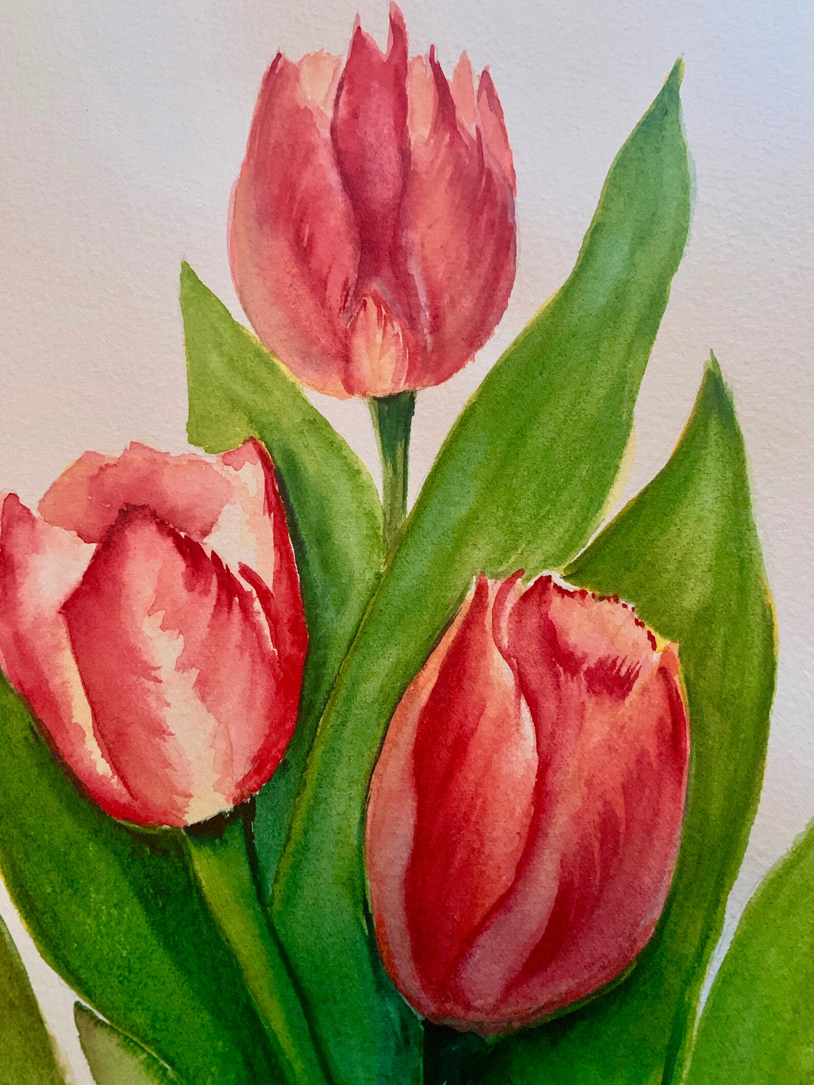 Original Red Tulip Watercolor Red Tulip Wall Art Floral Wall | Etsy