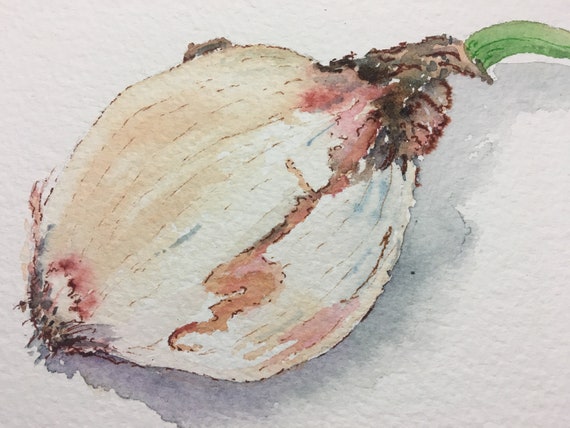 Pintura de bodegones de cebolla Acuarela cebolla - Etsy España