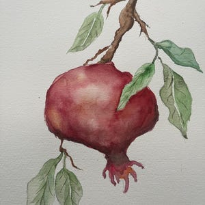 Watercolor Pomegranate Botanical Wall Art, Pomegranate Watercolor Painting, Kitchen Wall Art