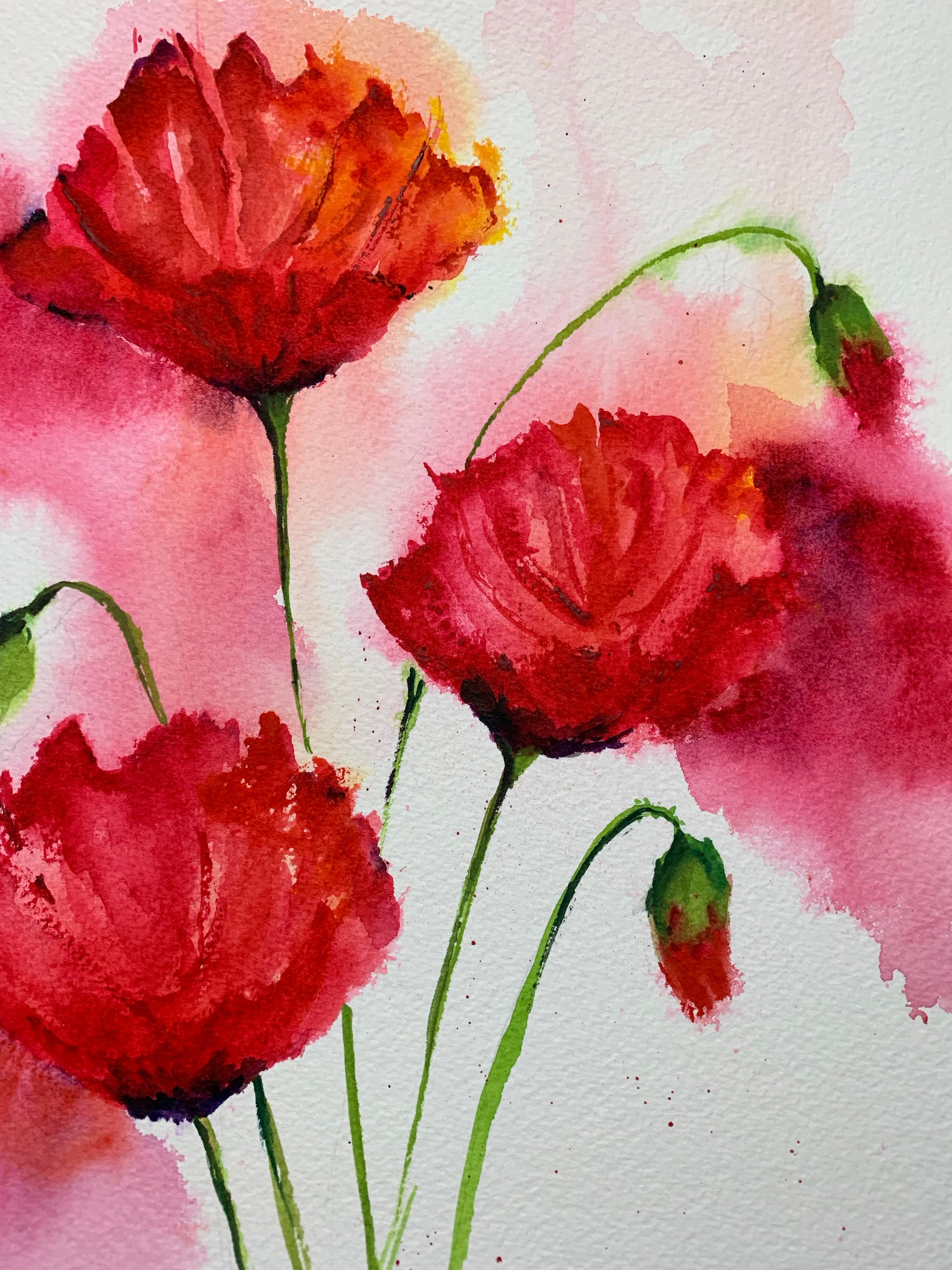 オリジナルの赤いポピーの水彩画、ポピーの花の水彩画アート