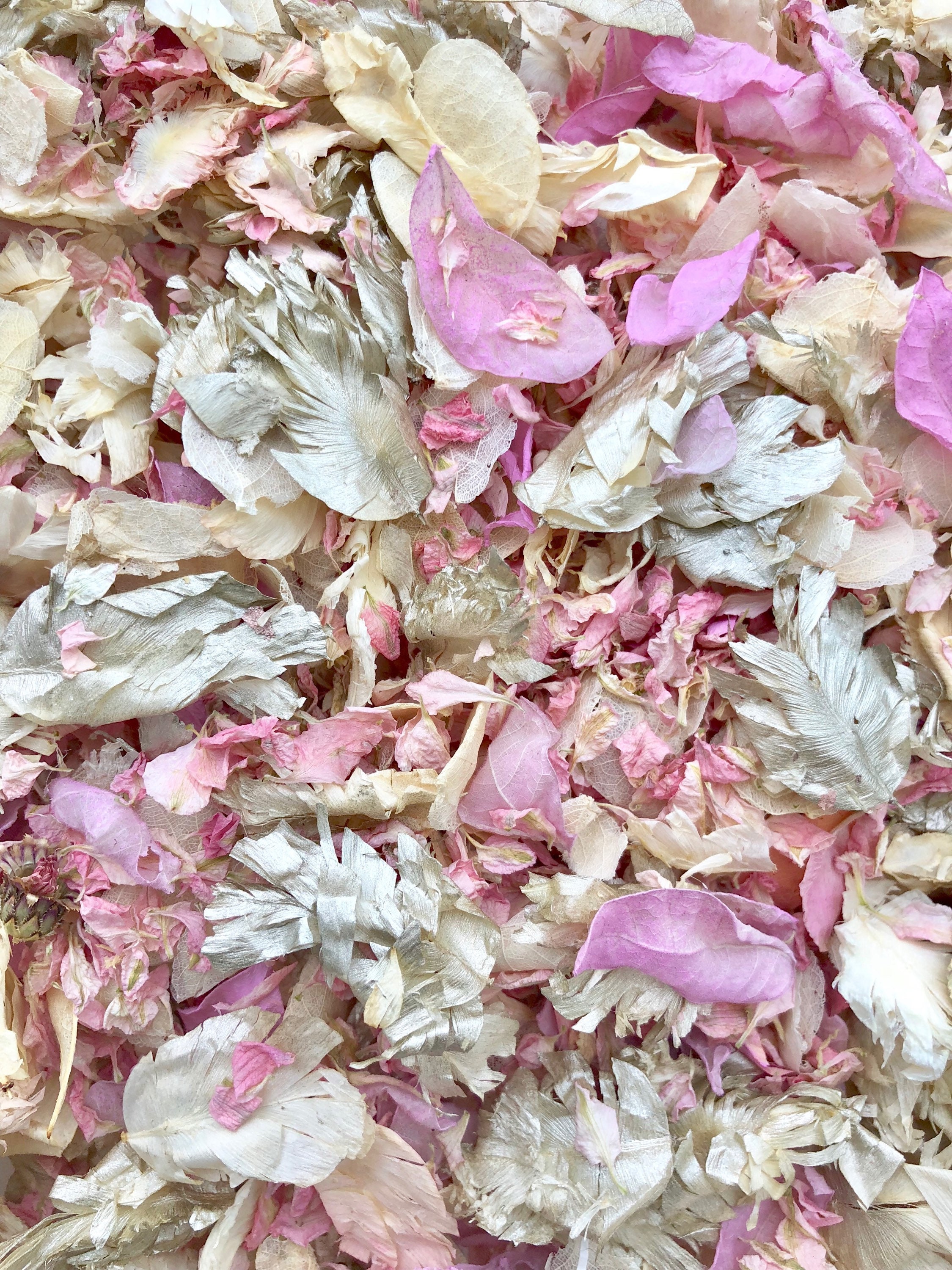 PPetal AUTUMN mix Biodegradable WEDDING CONFETTI Dried IVORY PP