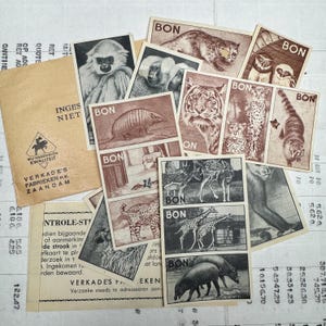 Vintage-Gutscheine für Sammlerkarten. Set alt, Firma Verkade, Werbesammelkarten. Artis, Amsterdam