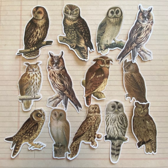 owl stickers etsy