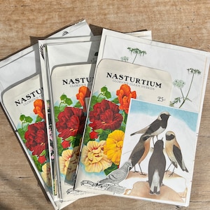 Gran juego de regalo de collage/diario. Pájaros, flores, plantas, animales, insectos, hongos, páginas de libros, naturaleza, recortes minuciosos.