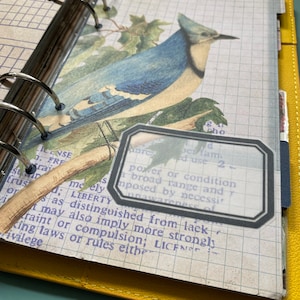 May include: A close-up of a vintage journal page with a bluebird illustration and a translucent sticker with text that reads: "power or condition a broad range and imposed by necessi unawareness of distinguished from lack may also imply more strongly restraint or compulsion; LICENCE king laws or rules either"