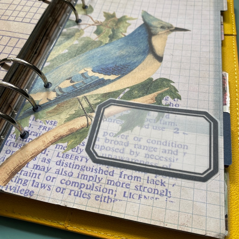 May include: A close-up of a vintage journal page with a bluebird illustration and a translucent sticker with text that reads: "power or condition a broad range and imposed by necessi unawareness of distinguished from lack may also imply more strongly restraint or compulsion; LICENCE king laws or rules either"