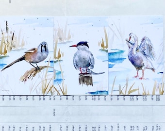 Postcards Michelle Dujardin, Dutch Birds, set of 3, watercolor.