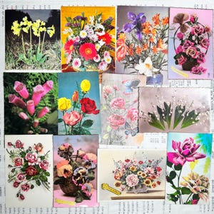 Lote de 12 postales antiguas: preciosas tarjetas con flores. Postales antiguas de flores usadas.