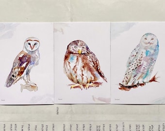 Postcards Michelle Dujardin, Dutch Owls, set of 3, watercolor.