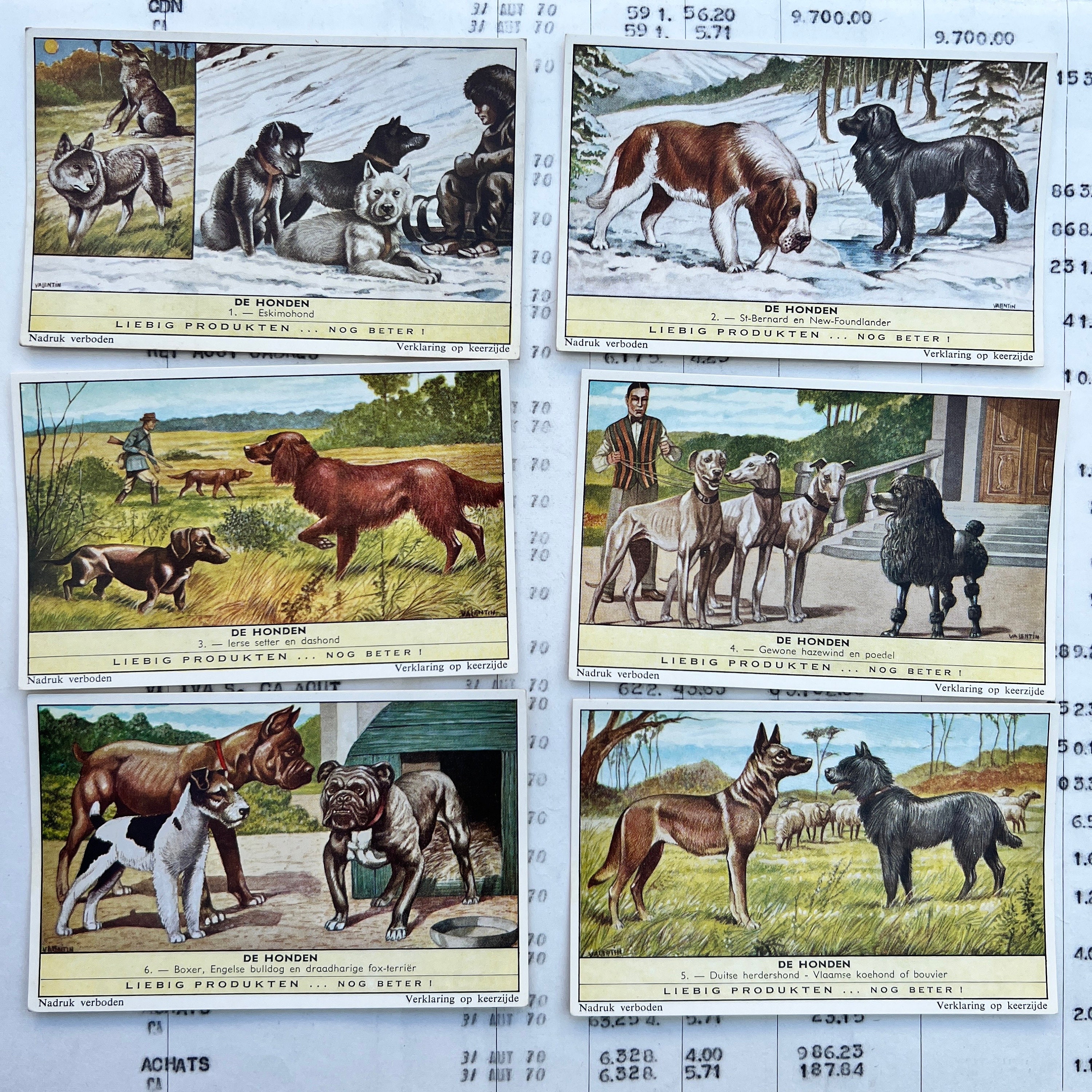 Vintage collector's cards. Set of 6 old cards from Liebig company, advertising trading cards. Series 531 - Dogs