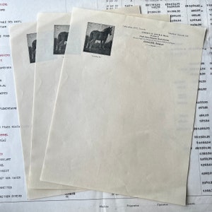 Criador de caballos de tiro belgas, hojas membretadas completas, juego de 3 hojas de papel vintage. Dixmude H. Joye & Bros.