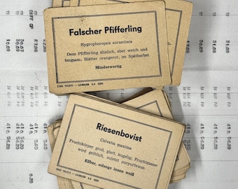 Vintage flascards with information about mushrooms / toadstools.