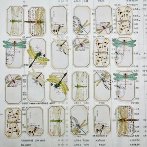 Dragonfly label stickers. Botanical, insects, labels vintage inspired. Stickers with dragonflies, nature.