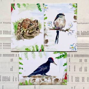 Op de afbeelding: Aquarelschilderijen van wilde dieren, waaronder een kikker, een vogel op een tak met witte bloemen en een zwarte specht. Het kunstwerk is op papier met een vintage registerachtergrond.