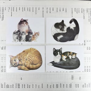 Cartoline di gatti. Set di 4, del 2015 - illustrazioni di Francien. Inutilizzate.