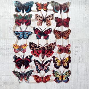 Scrap alemán - ilustraciones de mariposas. Troqueles, efímeras, papel en relieve, nostálgico, manualidades de papel, adornos, decoración, álbumes de recortes